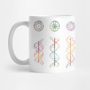 A-,B-,C- and Z-DNA Mug